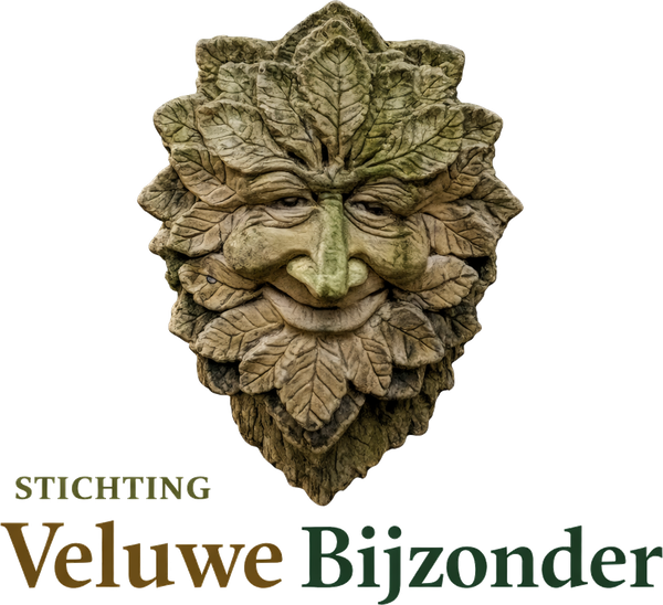 Logo Stichting Veluwe Bijzonder